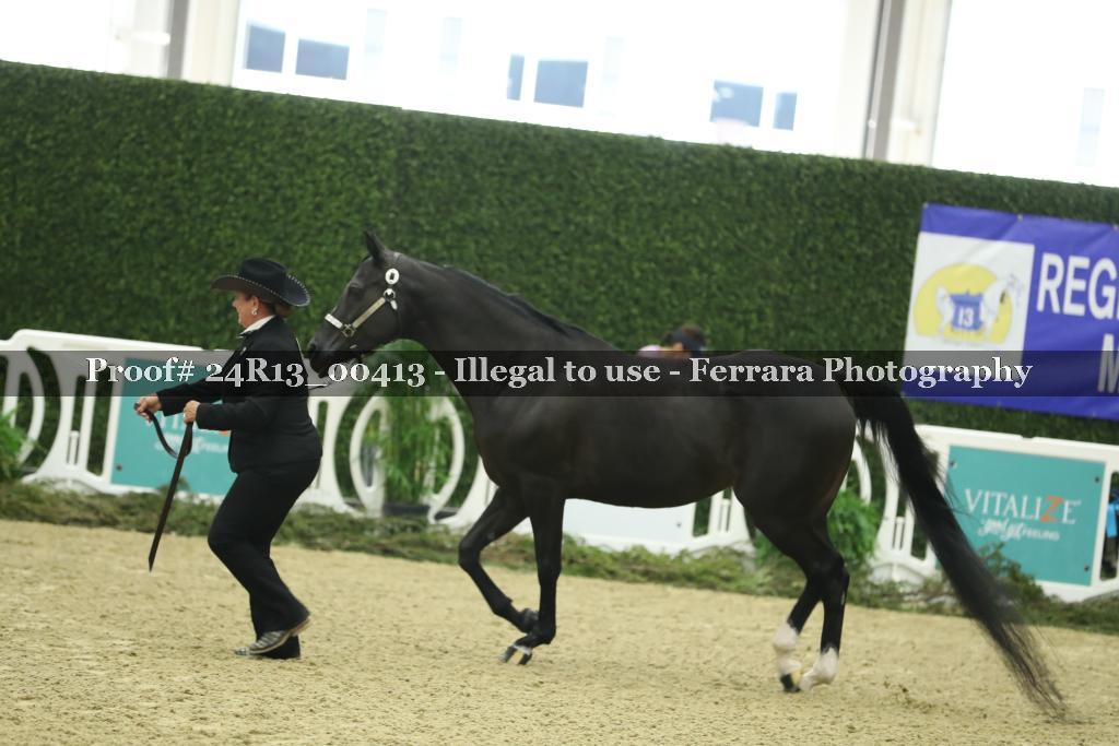 Proof 24R13_00413