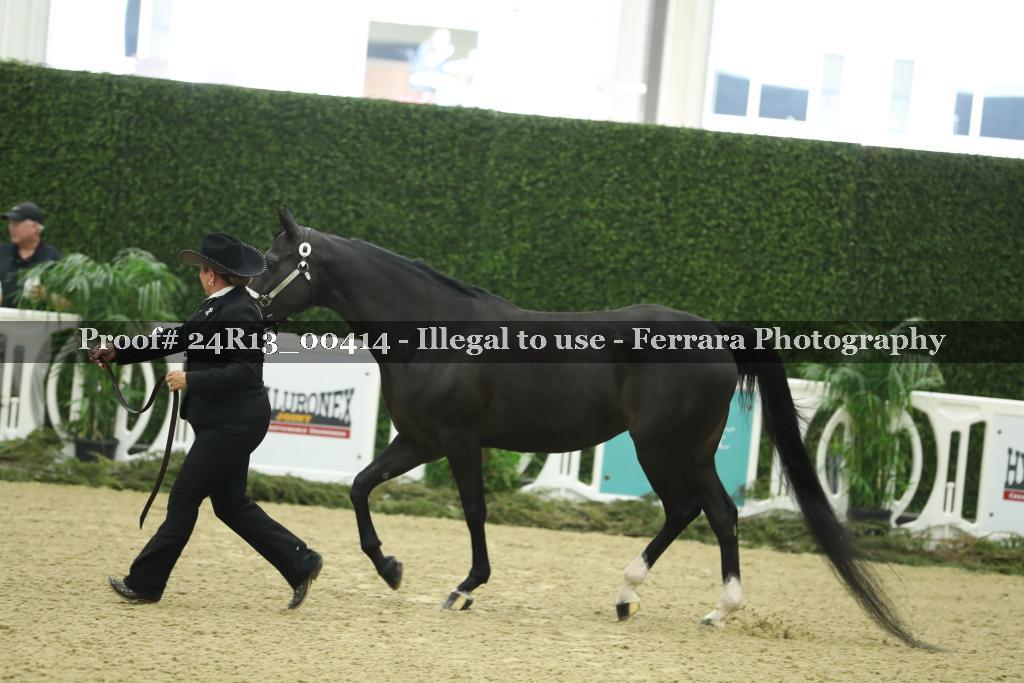 Proof 24R13_00414