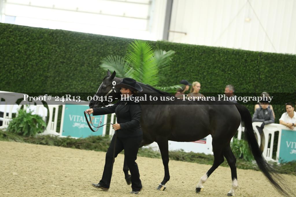 Proof 24R13_00415