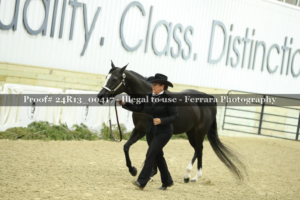 Proof 24R13_00417