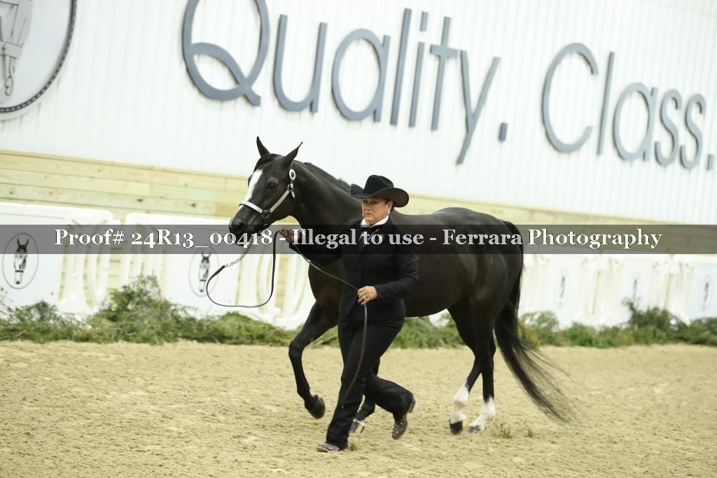 Proof 24R13_00418
