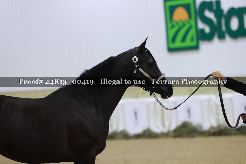 Proof 24R13_00419