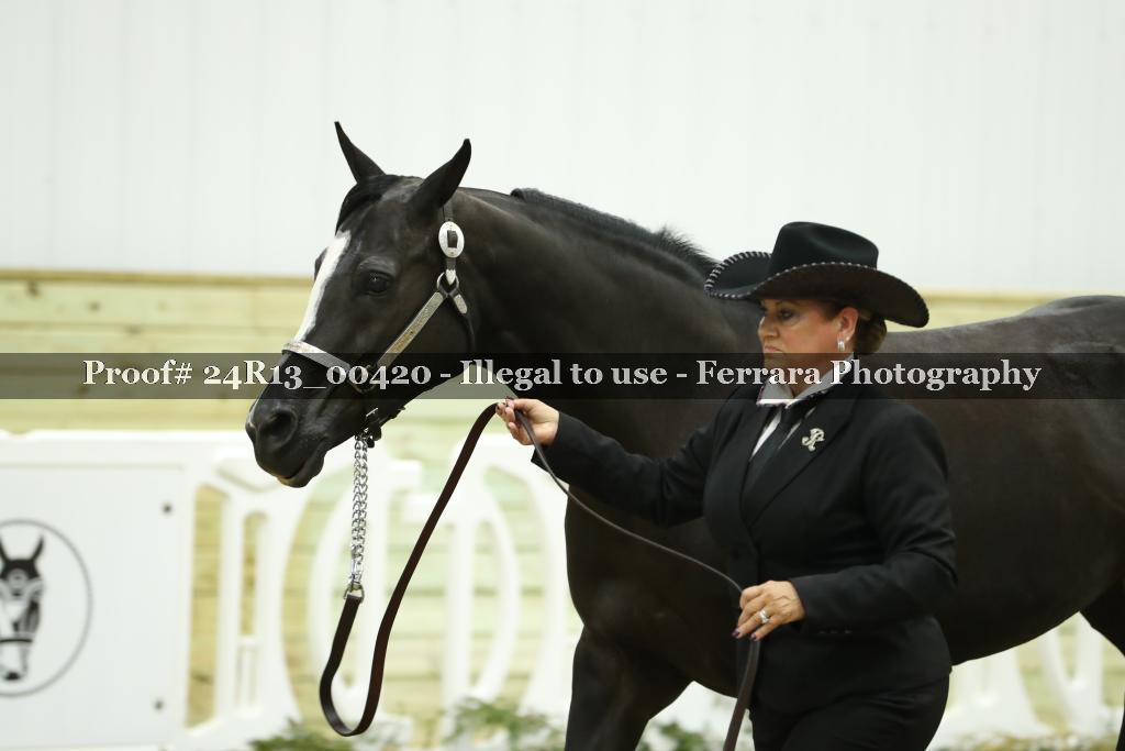Proof 24R13_00420