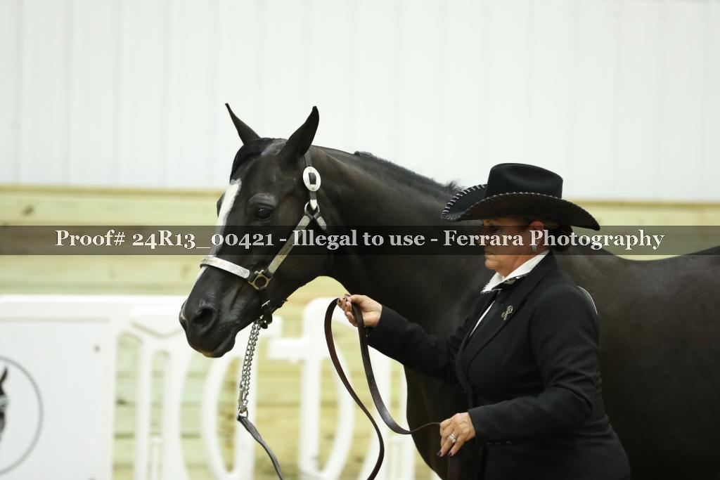Proof 24R13_00421