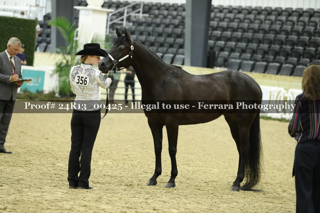 Proof 24R13_00425