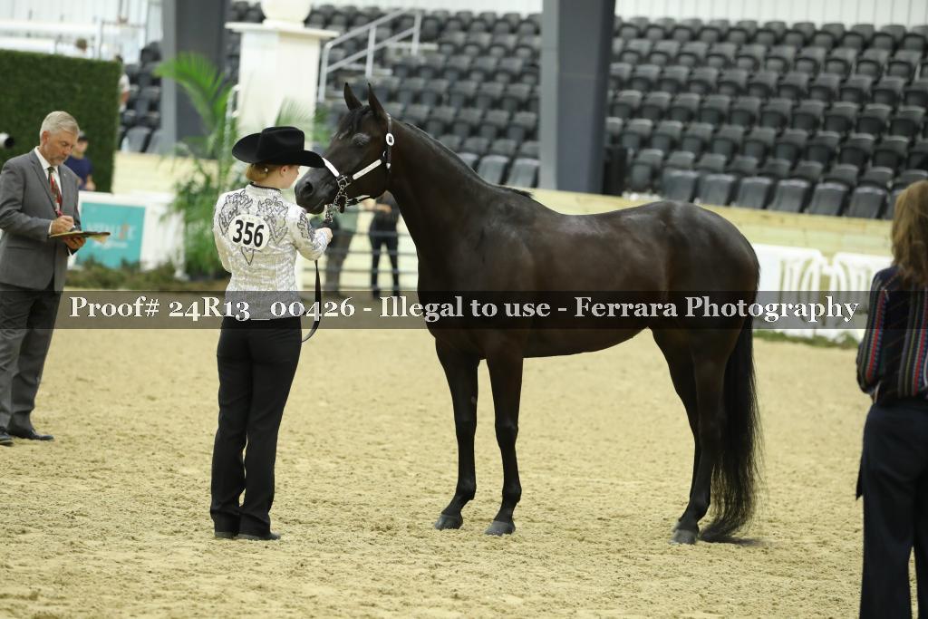 Proof 24R13_00426
