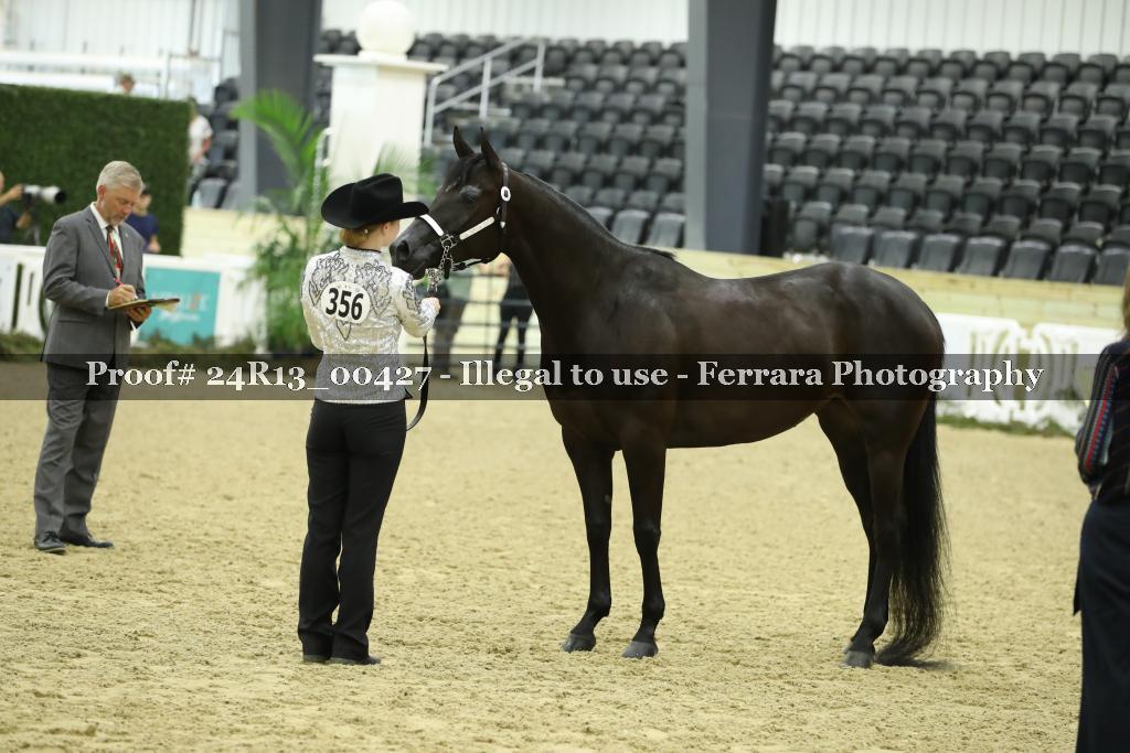 Proof 24R13_00427