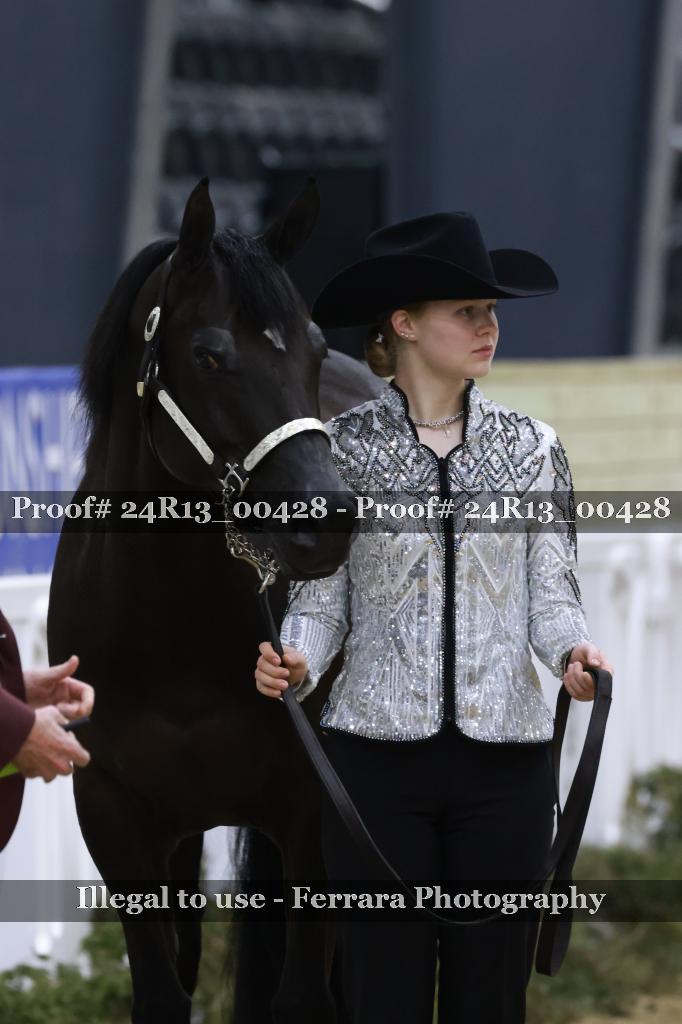 Proof 24R13_00428