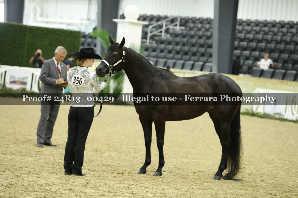 Proof 24R13_00429
