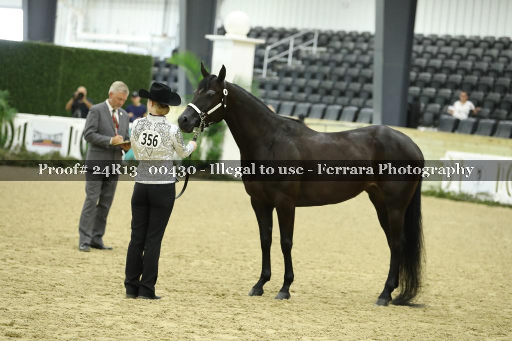 Proof 24R13_00430