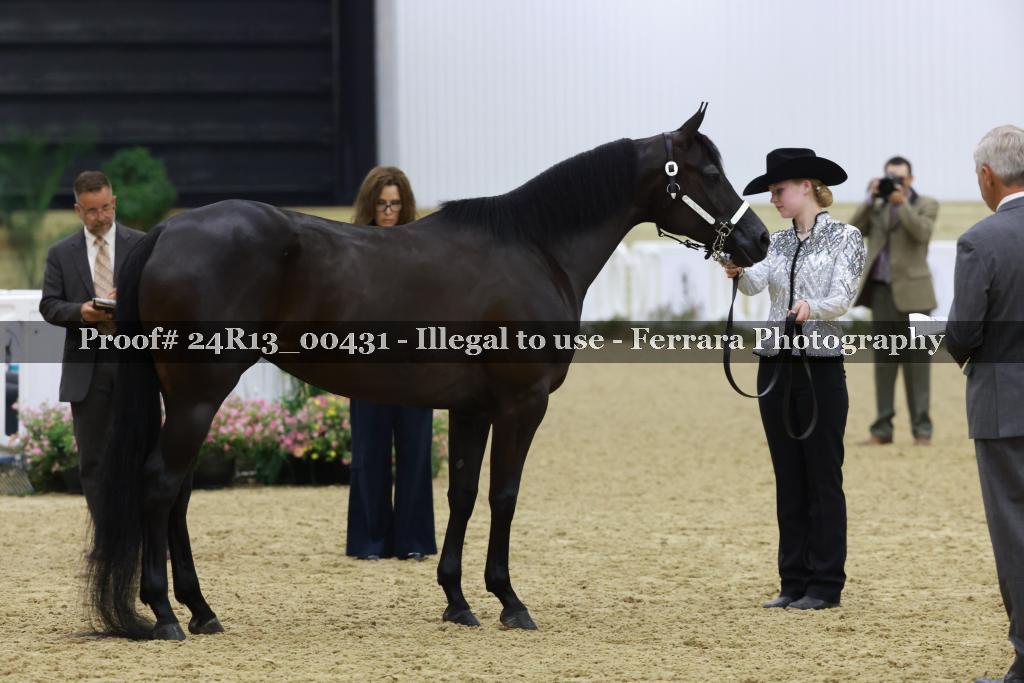 Proof 24R13_00431