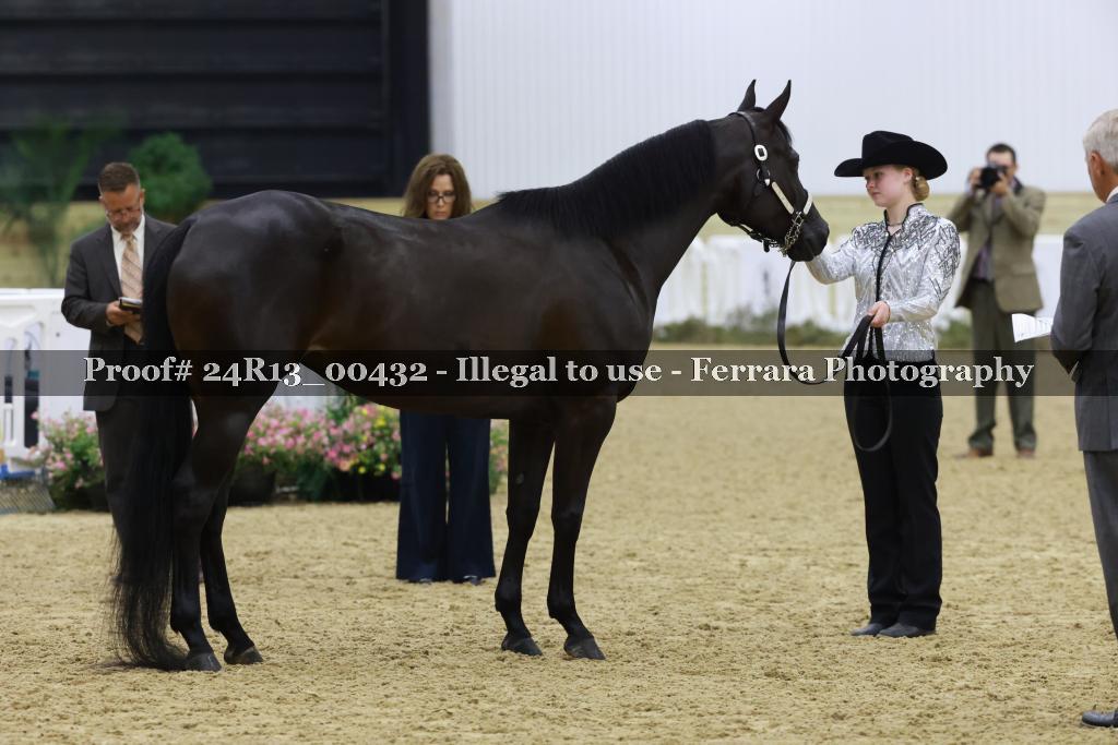 Proof 24R13_00432