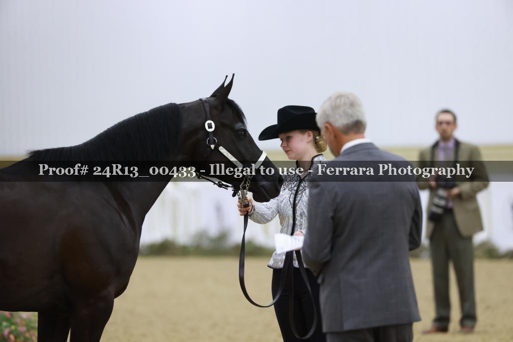 Proof 24R13_00433