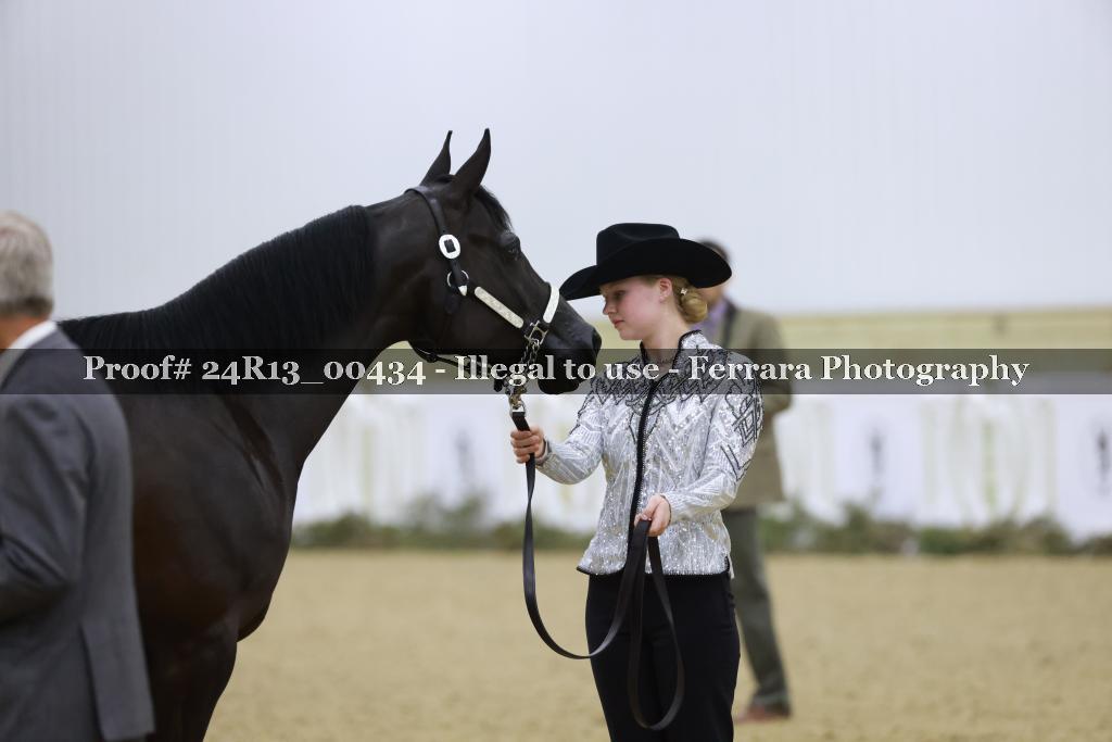Proof 24R13_00434