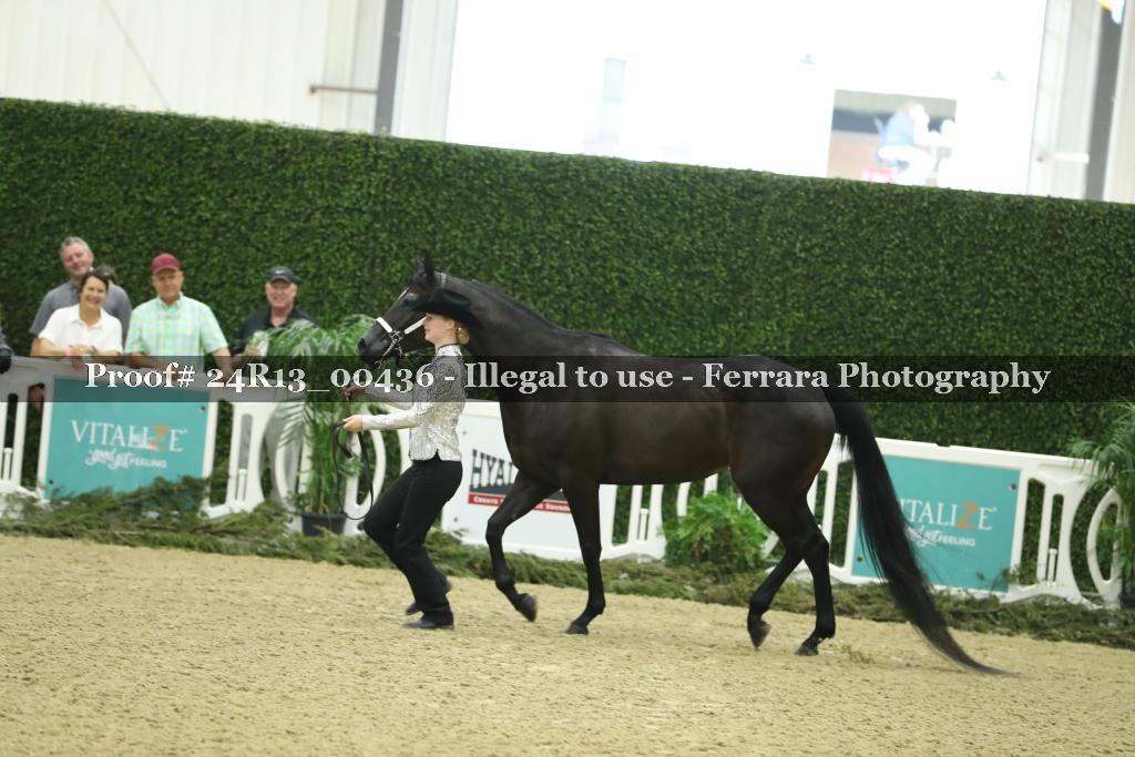 Proof 24R13_00436