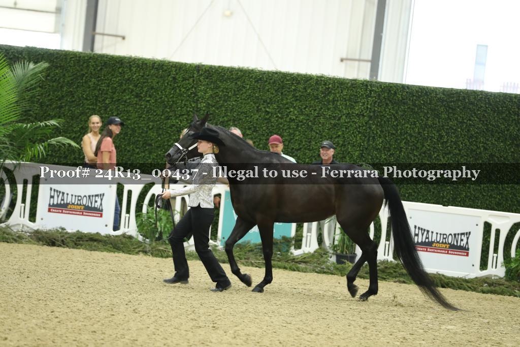 Proof 24R13_00437