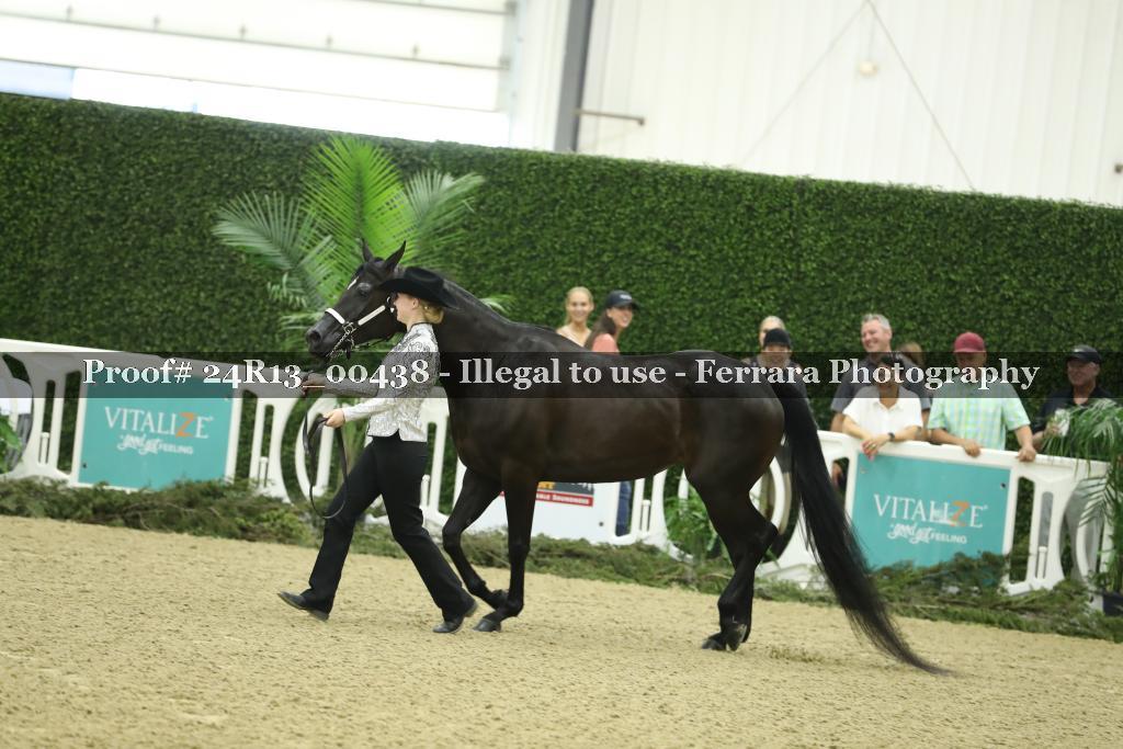Proof 24R13_00438