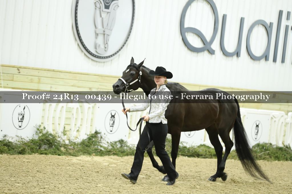 Proof 24R13_00439