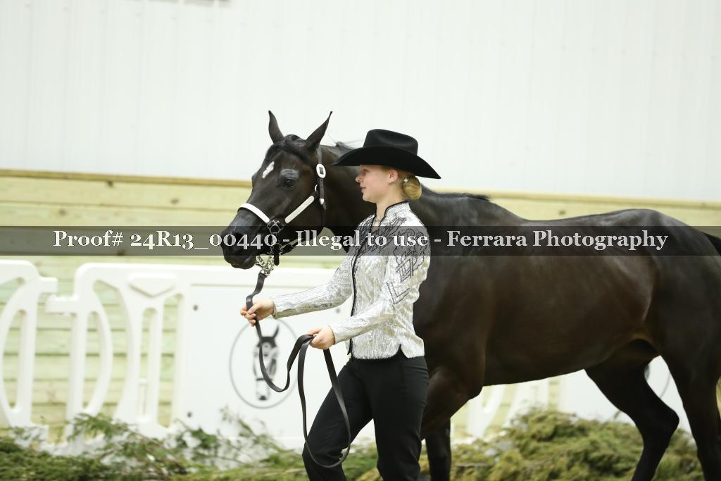 Proof 24R13_00440