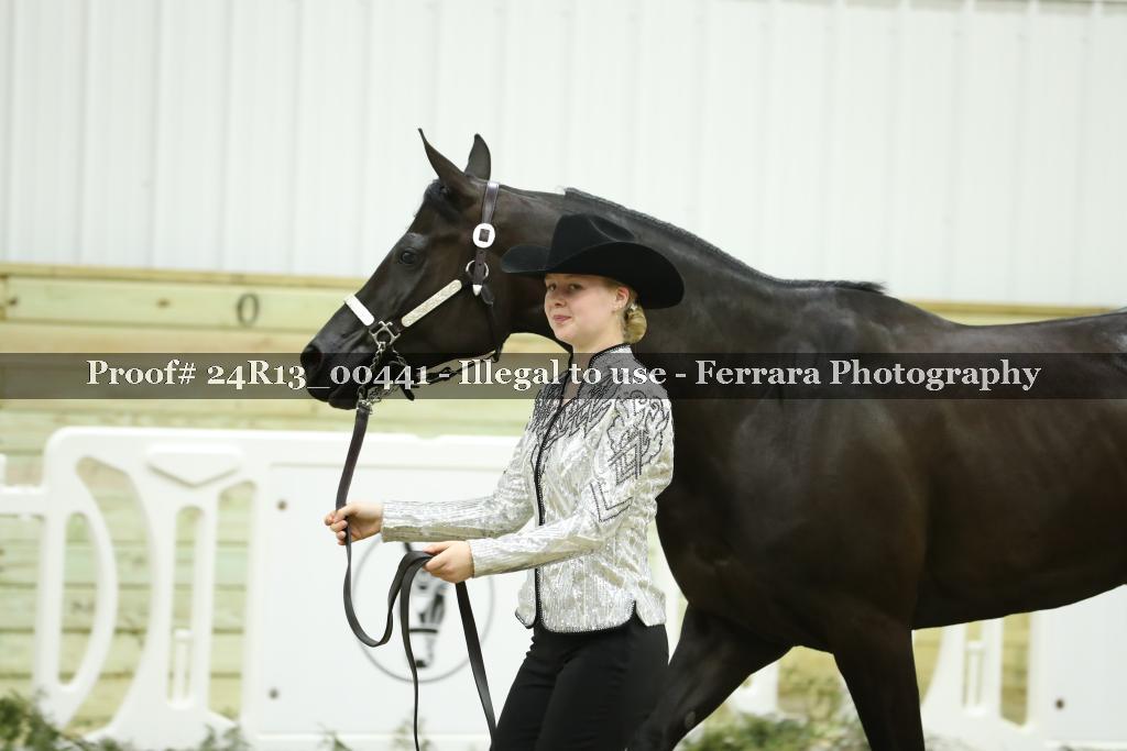 Proof 24R13_00441
