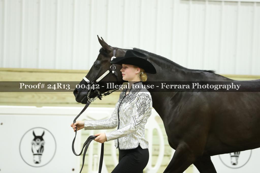 Proof 24R13_00442