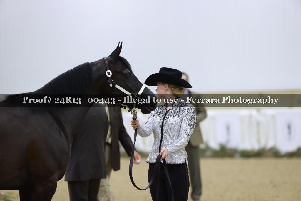 Proof 24R13_00443