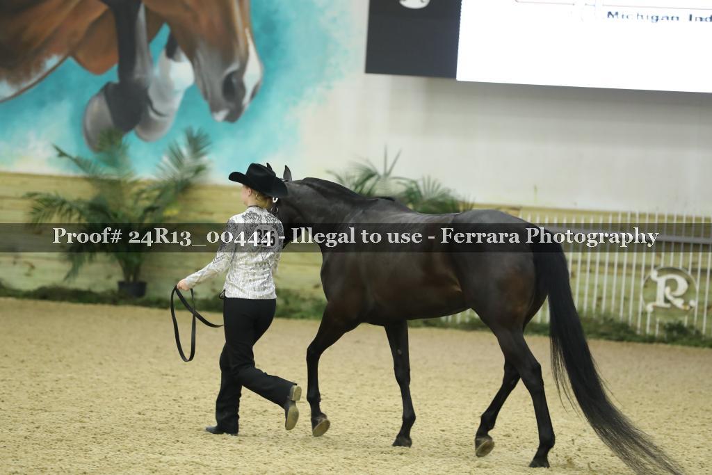 Proof 24R13_00444