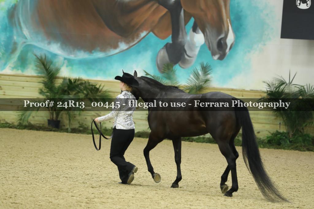 Proof 24R13_00445
