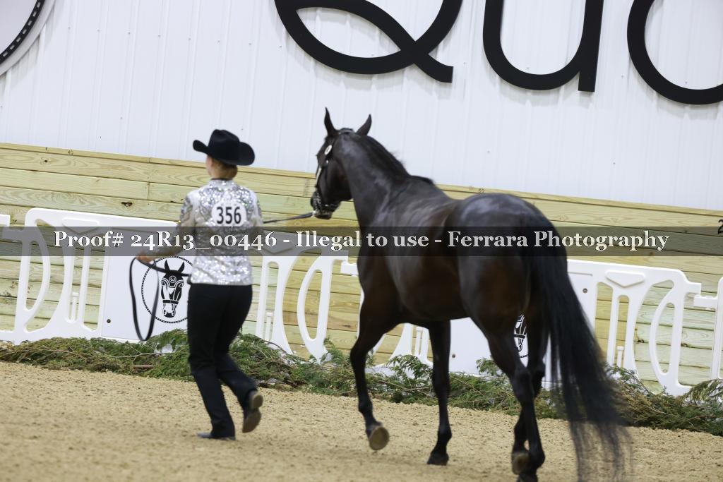 Proof 24R13_00446