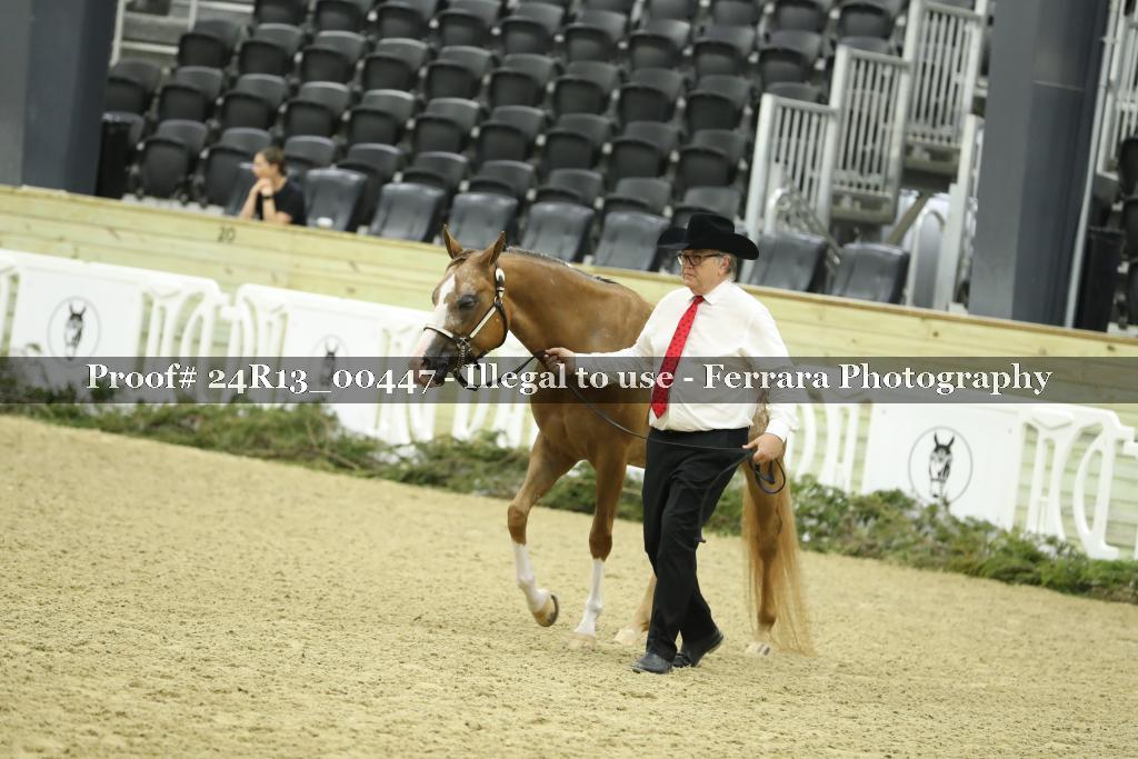 Proof 24R13_00447