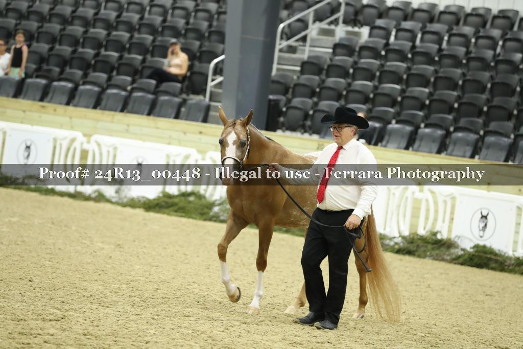 Proof 24R13_00448