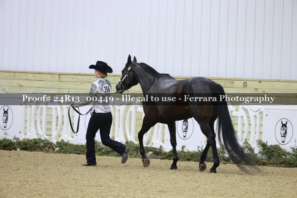 Proof 24R13_00449