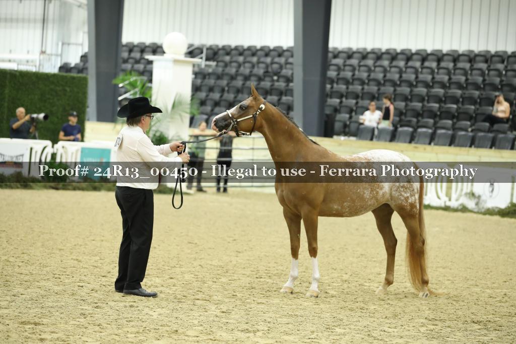 Proof 24R13_00450