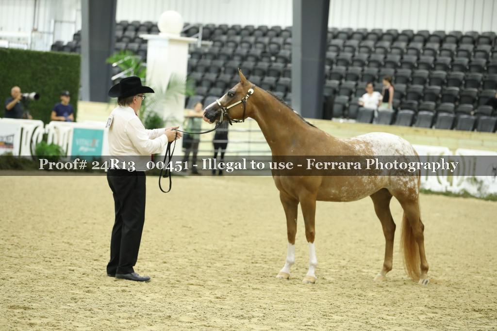 Proof 24R13_00451