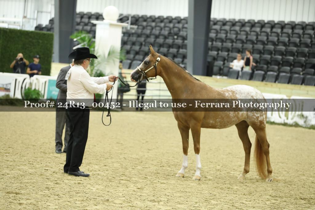 Proof 24R13_00452