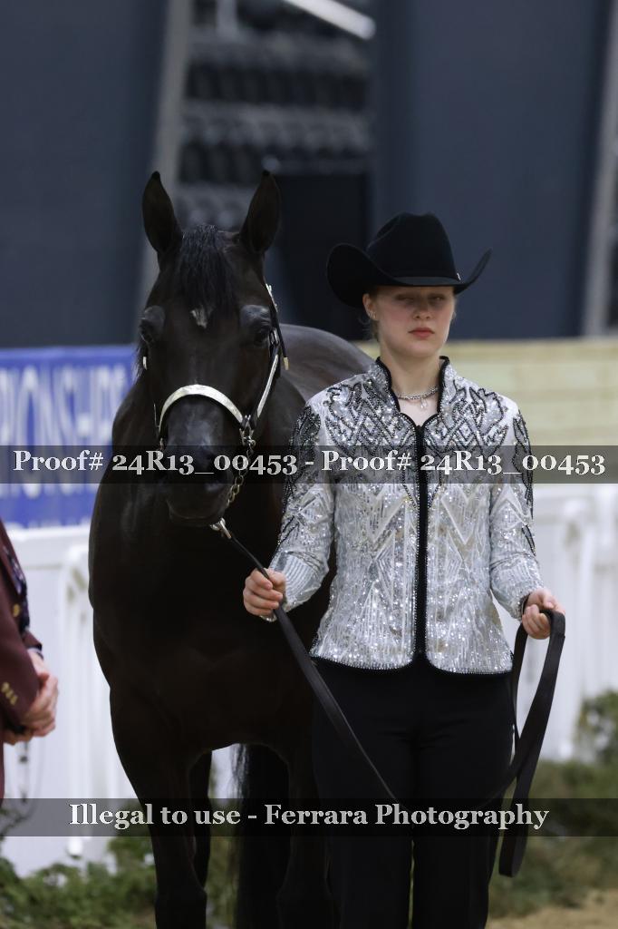 Proof 24R13_00453