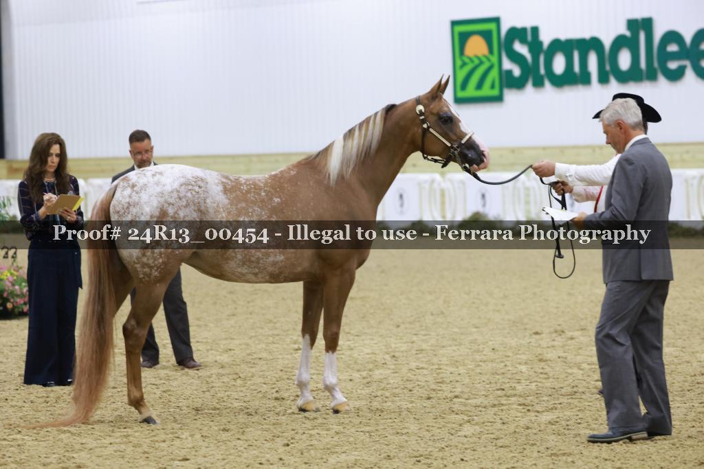 Proof 24R13_00454