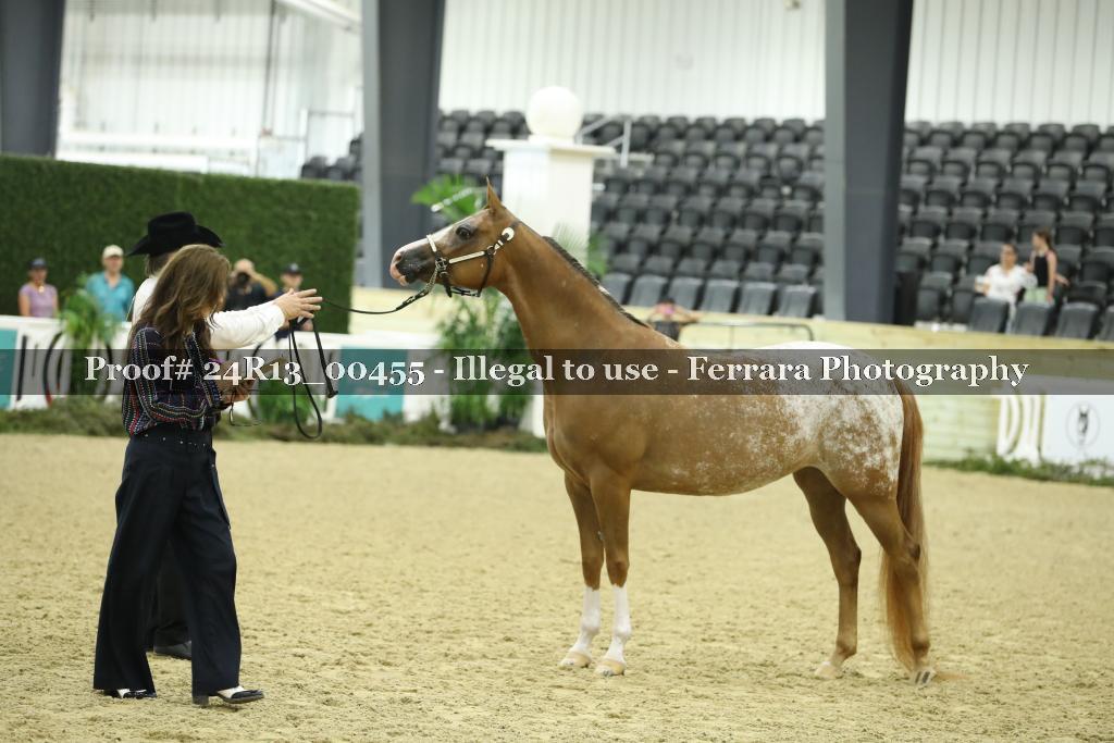 Proof 24R13_00455