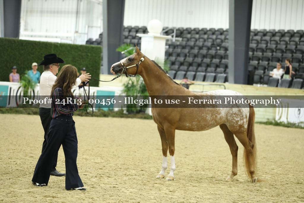 Proof 24R13_00456