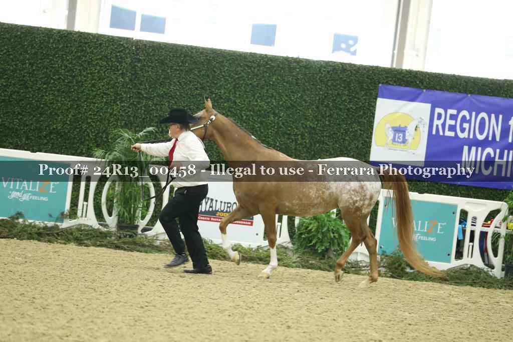 Proof 24R13_00458
