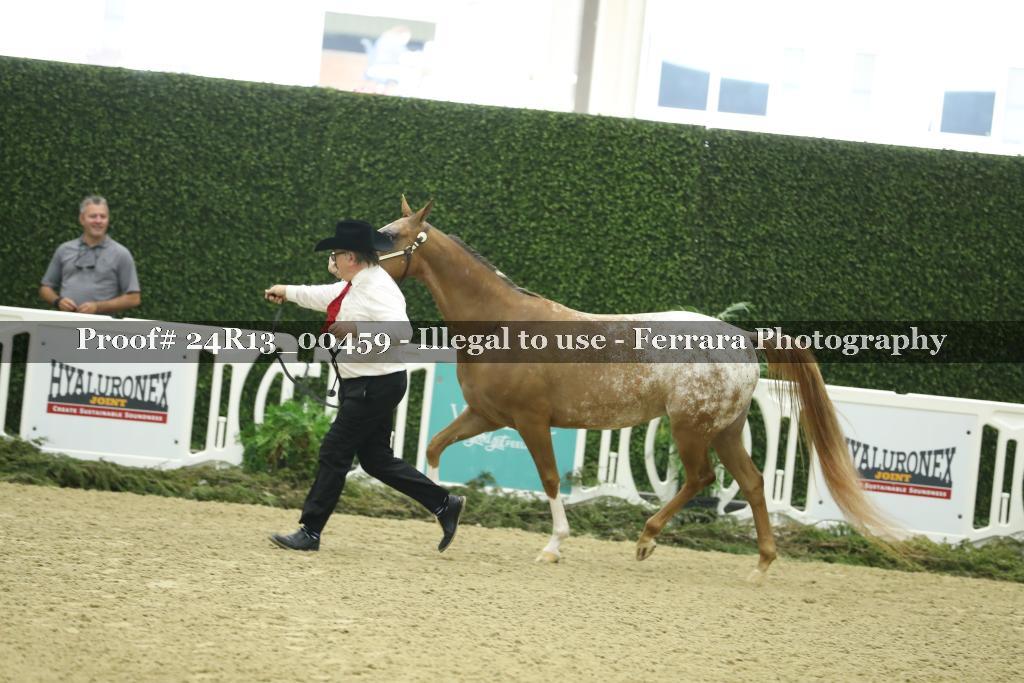 Proof 24R13_00459
