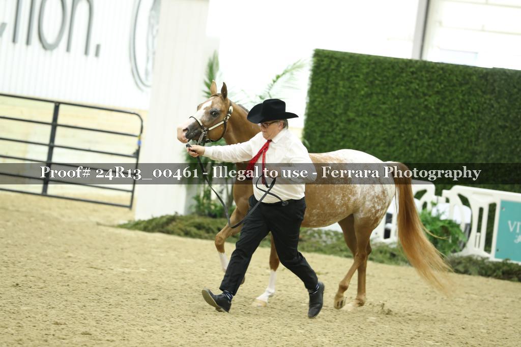 Proof 24R13_00461