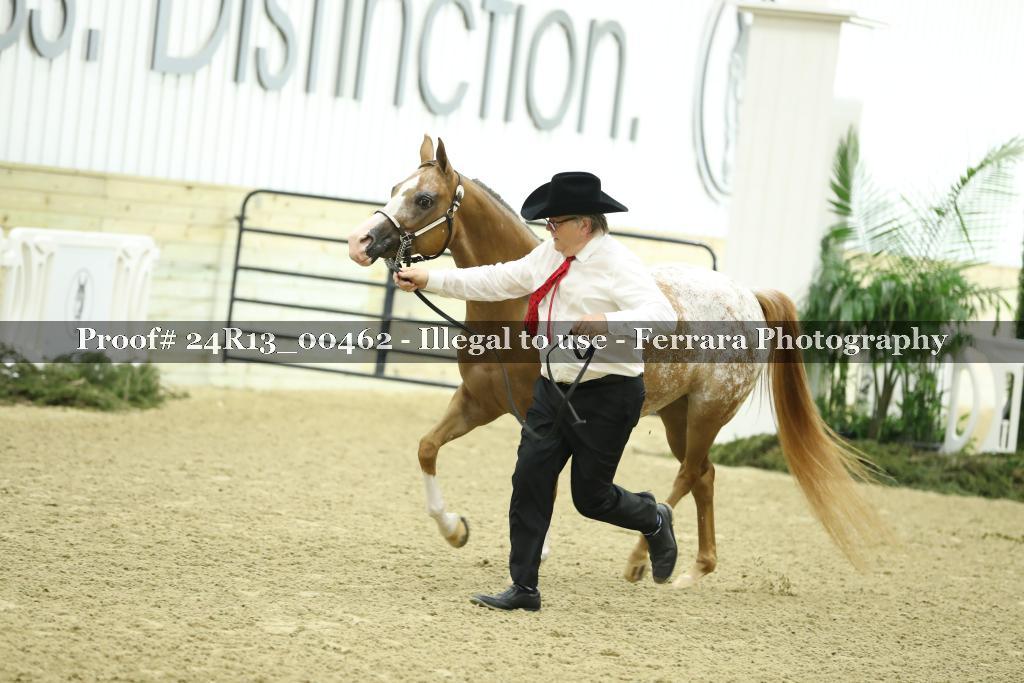 Proof 24R13_00462