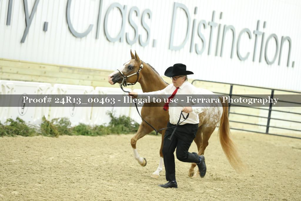 Proof 24R13_00463