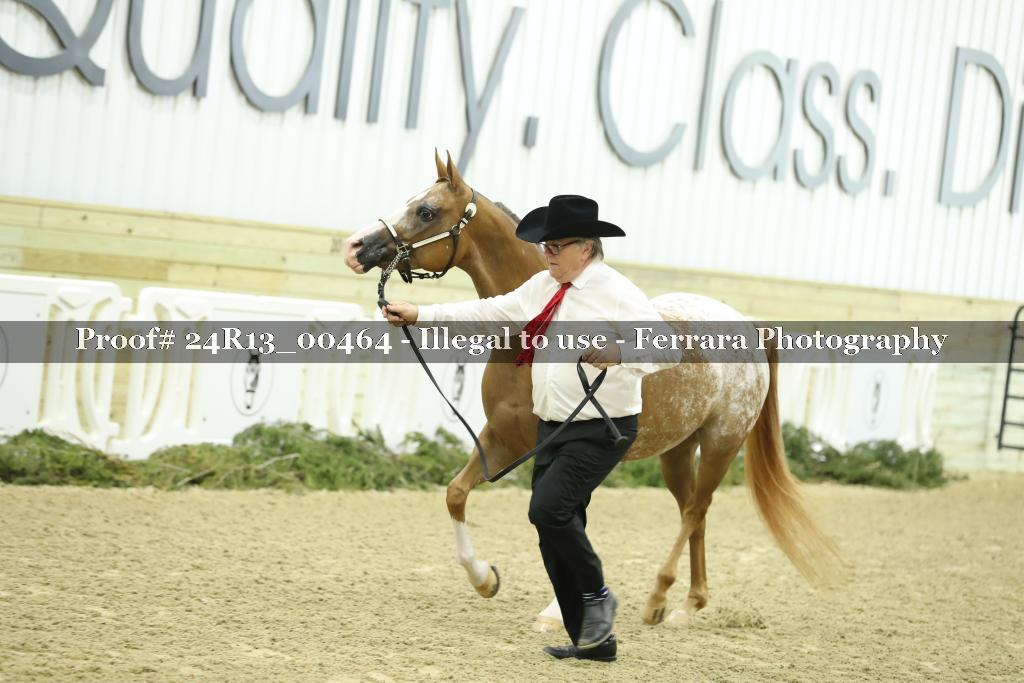 Proof 24R13_00464