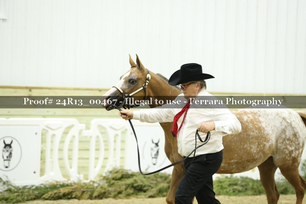 Proof 24R13_00467
