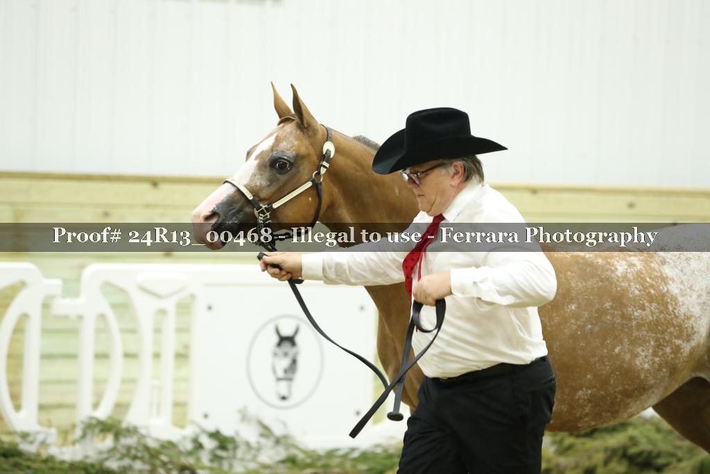 Proof 24R13_00468
