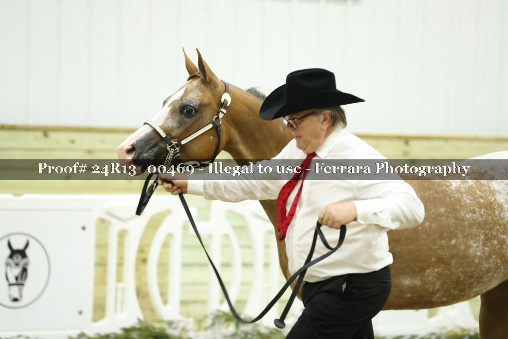 Proof 24R13_00469
