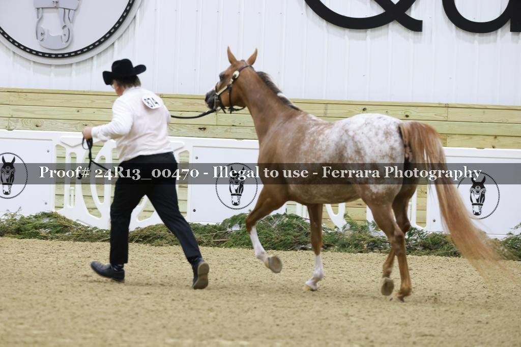 Proof 24R13_00470
