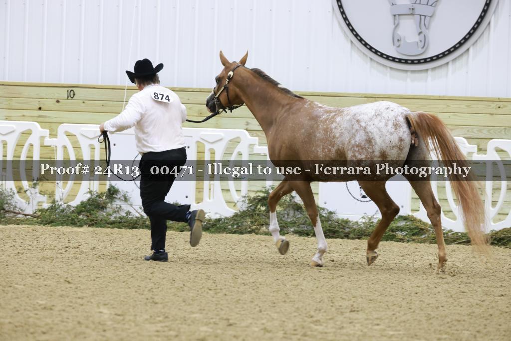 Proof 24R13_00471